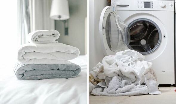 wash & fold in London